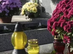 fiori cimitero