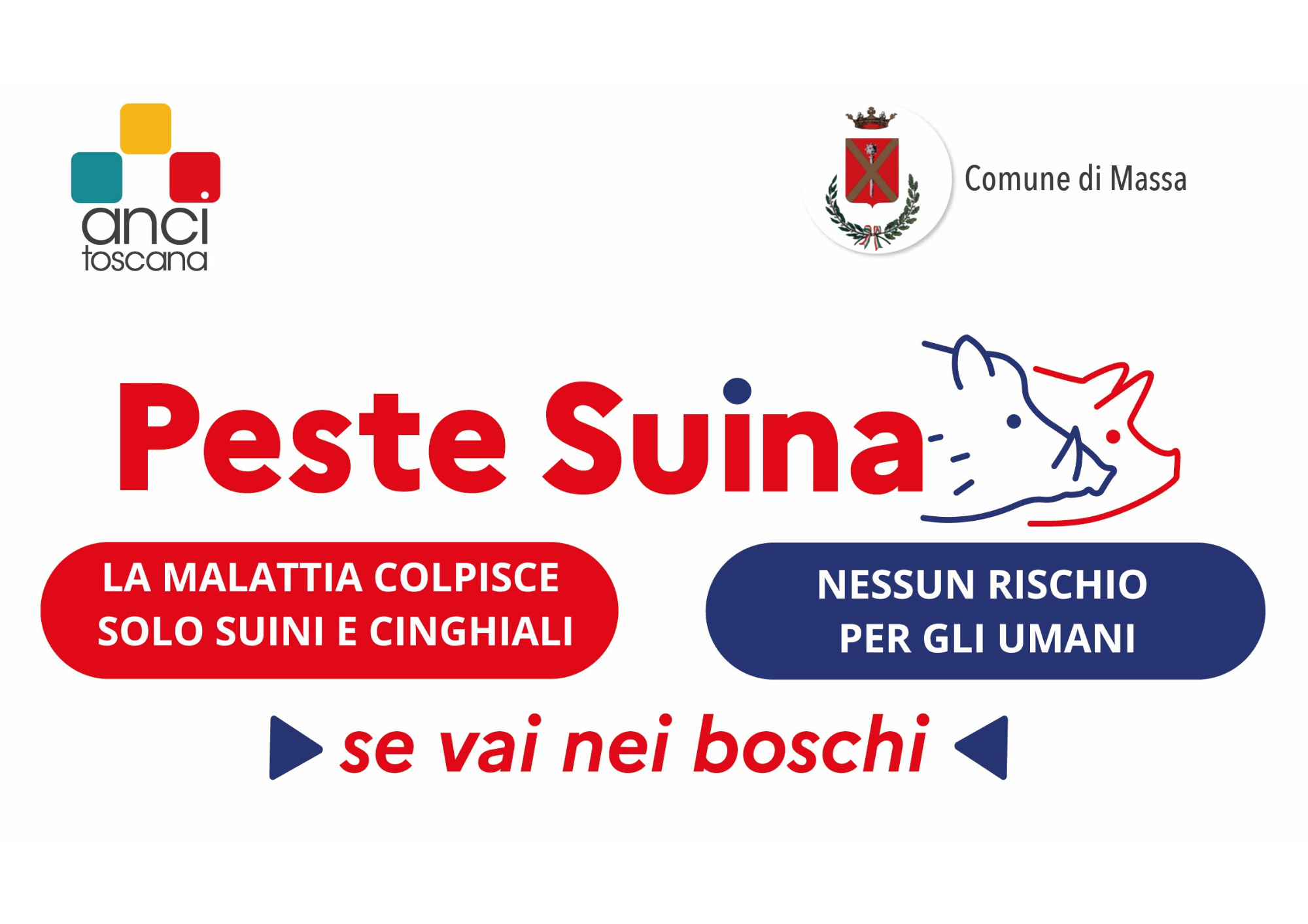 peste suina
