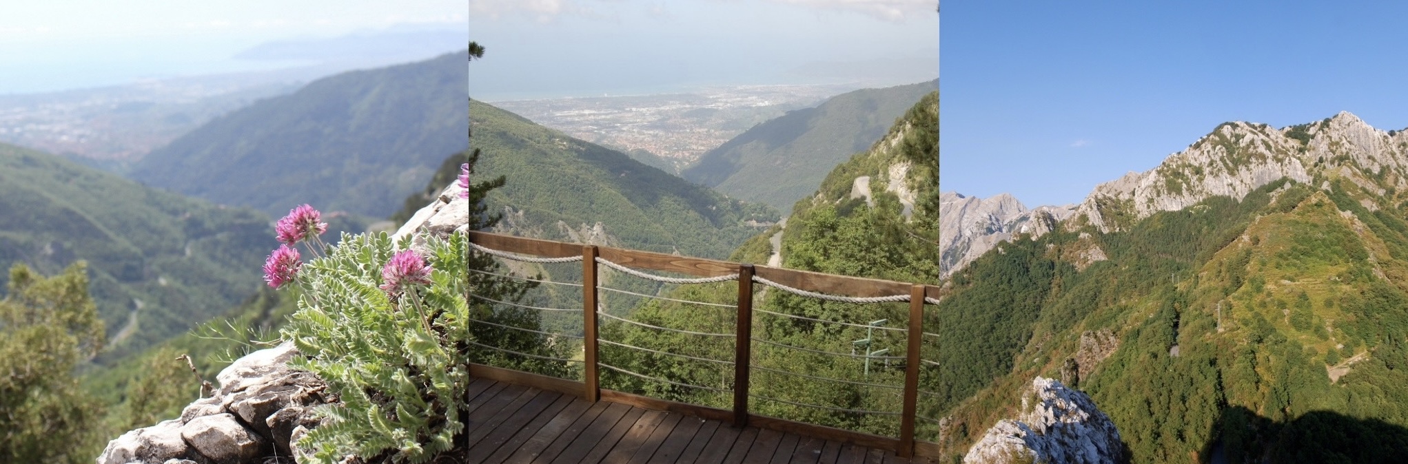 orto botanico