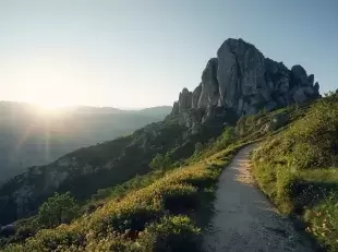 immagine di sentiero