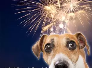 locandina no ai botti