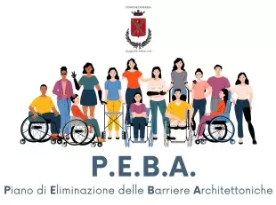 Immagine generica P.E.B.A.