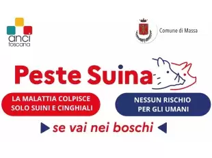 peste suina